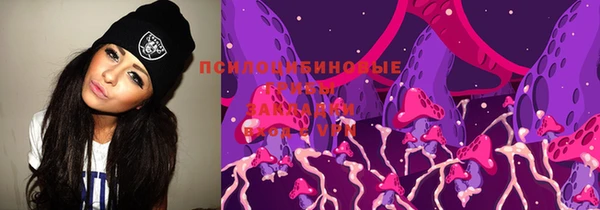индика Абинск