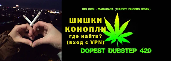 индика Абинск