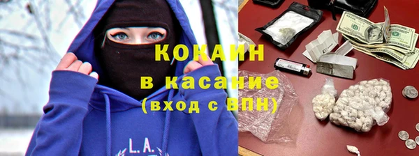 индика Абинск