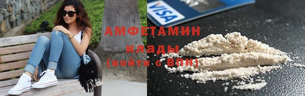 индика Абинск