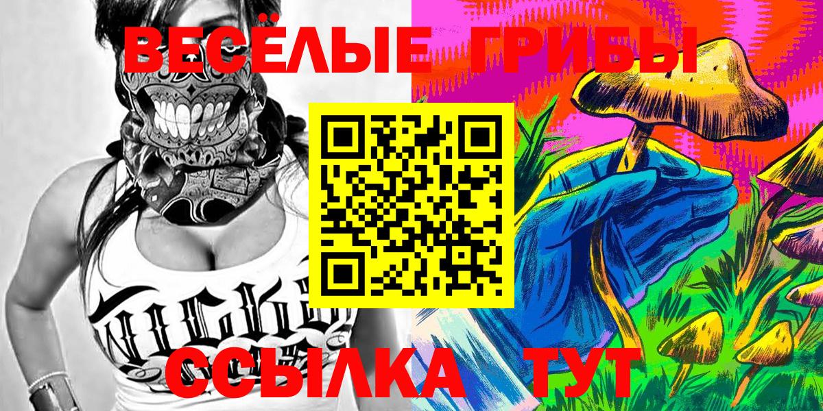 Псилоцибиновые грибы мицелий Тихорецк
