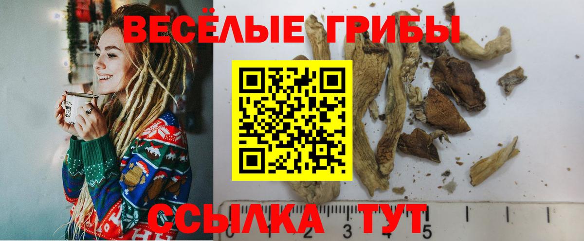 Псилоцибиновые грибы прущие грибы  Вход с VPN  Тихорецк  Псилоцибиновые грибы Psilocybe 